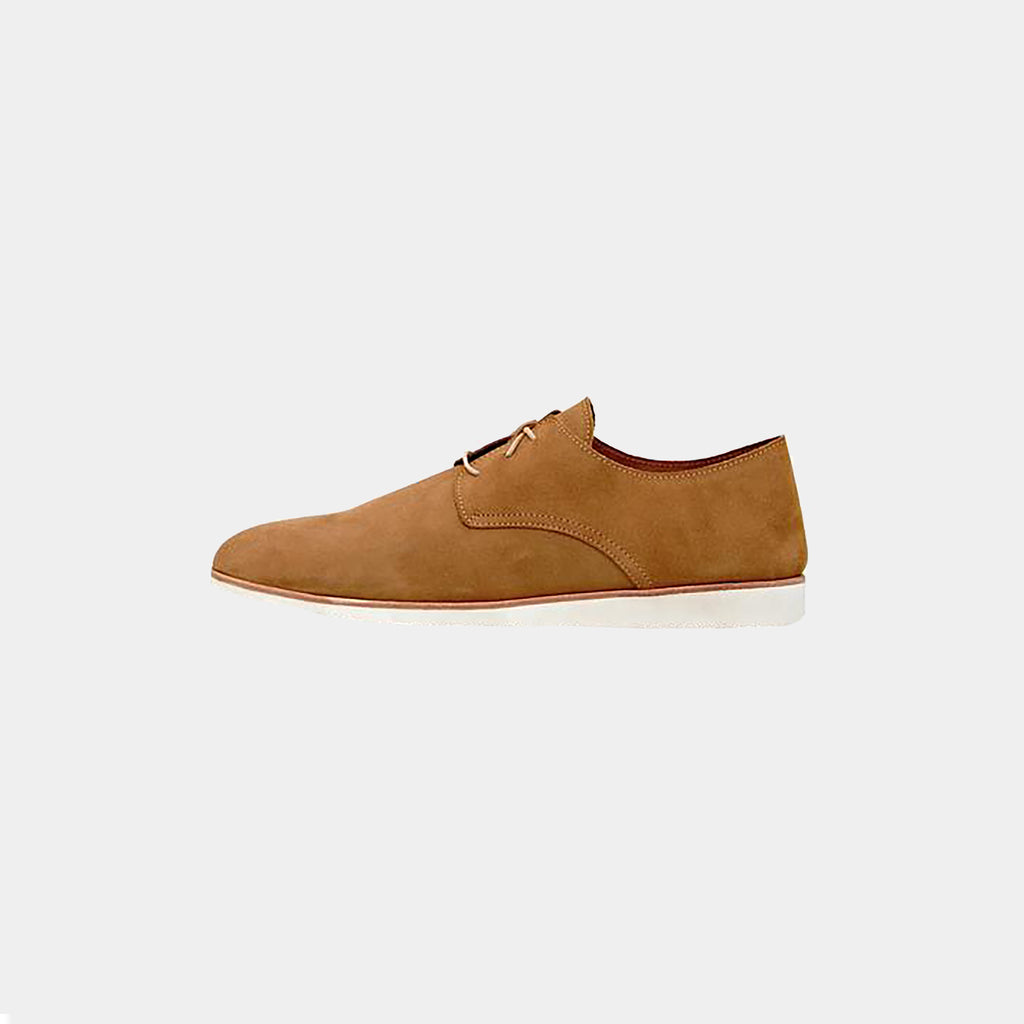 travel-derby-tobacco-  display picture 3